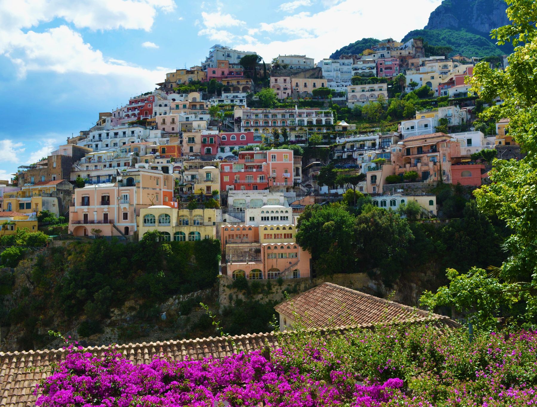 The Mediterranean